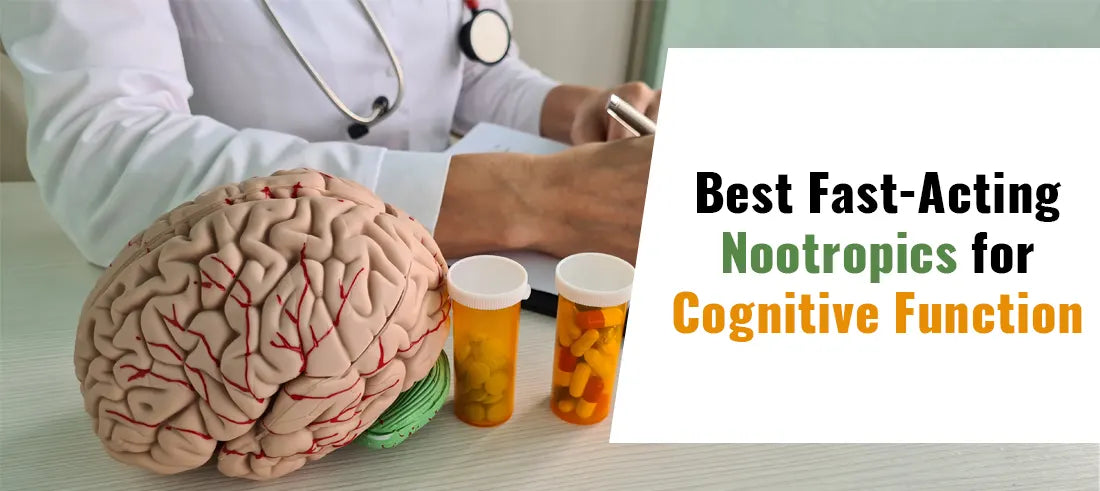 Best Fast-Acting Nootropics for Cognitive Function