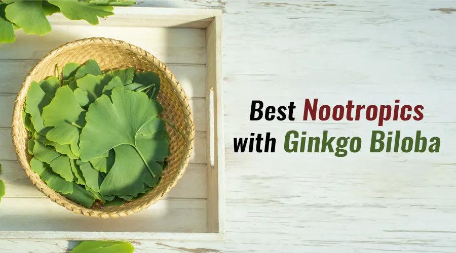 Best nootropics with Ginkgo Biloba