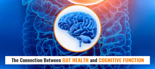 Gut Health and Cognitive Function