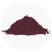 Bilberry Fruit Extract