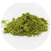 Green Tea Extract