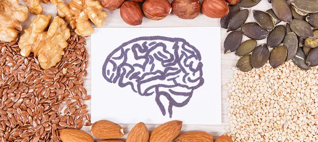 Ingredients For Brain Health