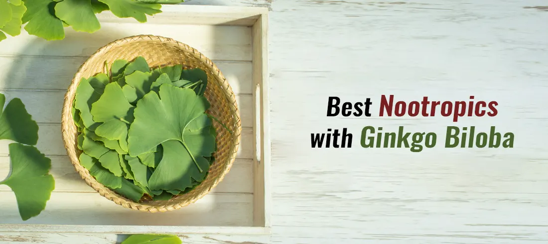 Best nootropics with Ginkgo Biloba