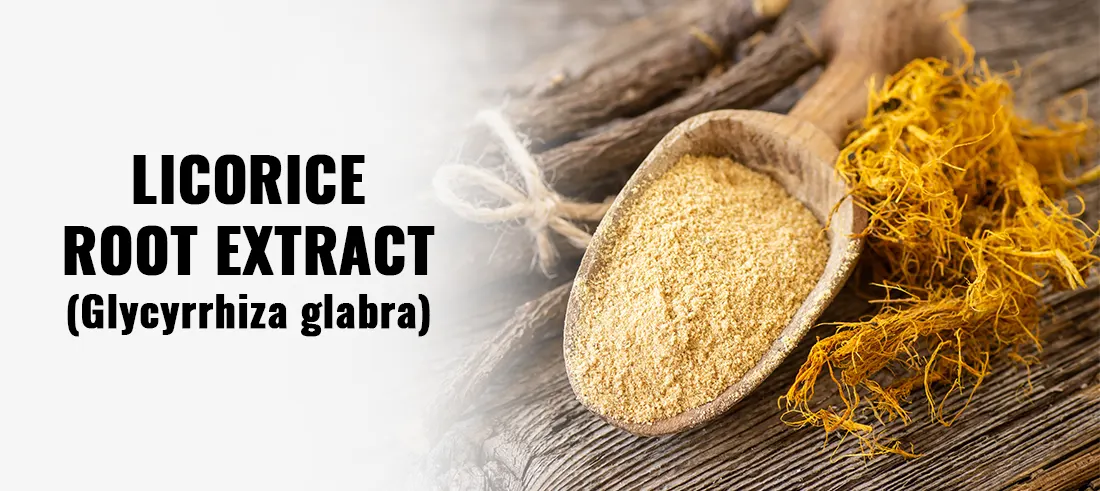 Benefits of Licorice Root Extract