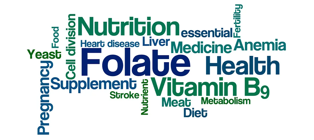 Benefits of Folate for Brain Health