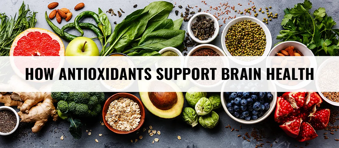 How Antioxidants Protect Brain Health