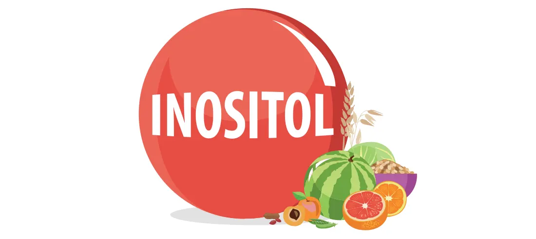 Inositol and Brain Function