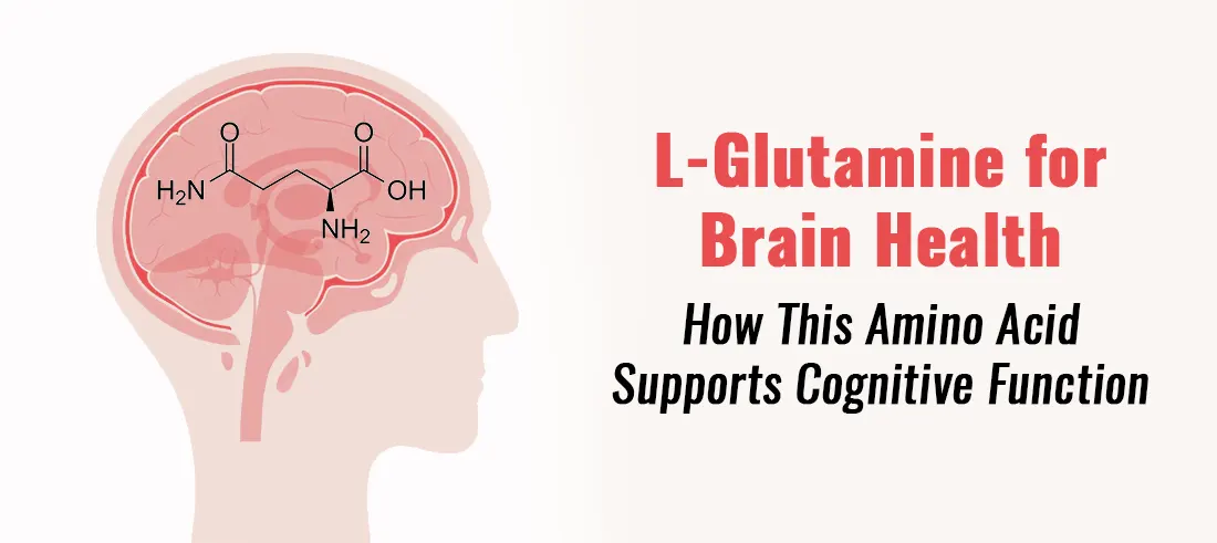 L-Glutamine for Brain Health