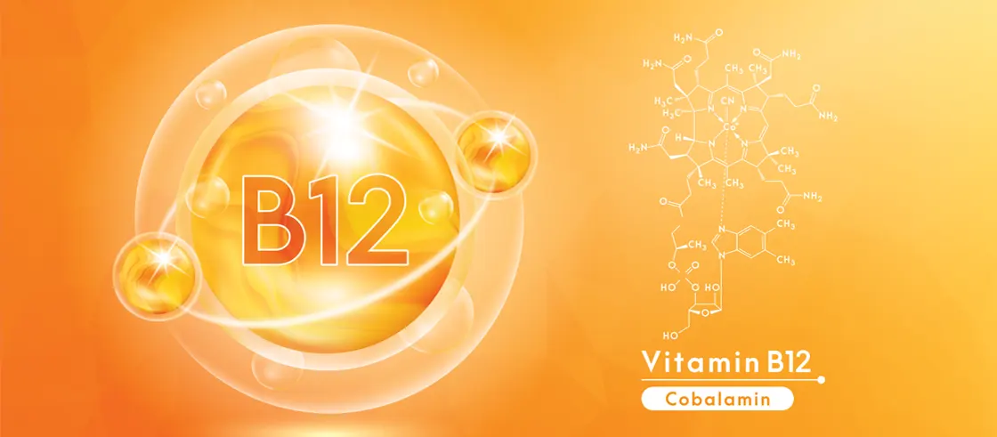 Role of Vitamin B12 for Brain Health and Function