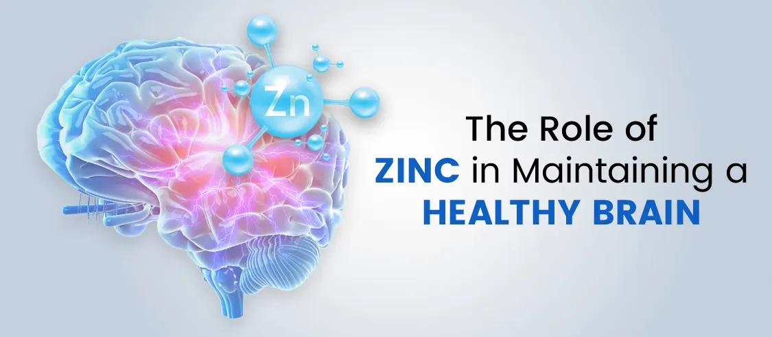 The Role of Zinc in Maintaining a Healthy Brain